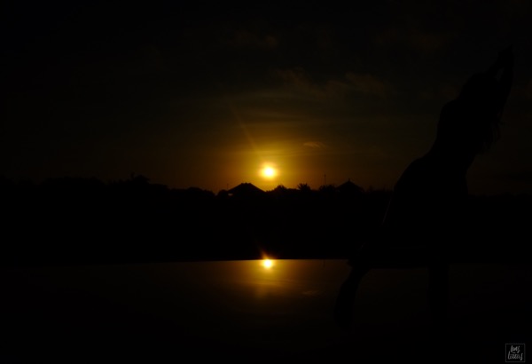 FirstLight